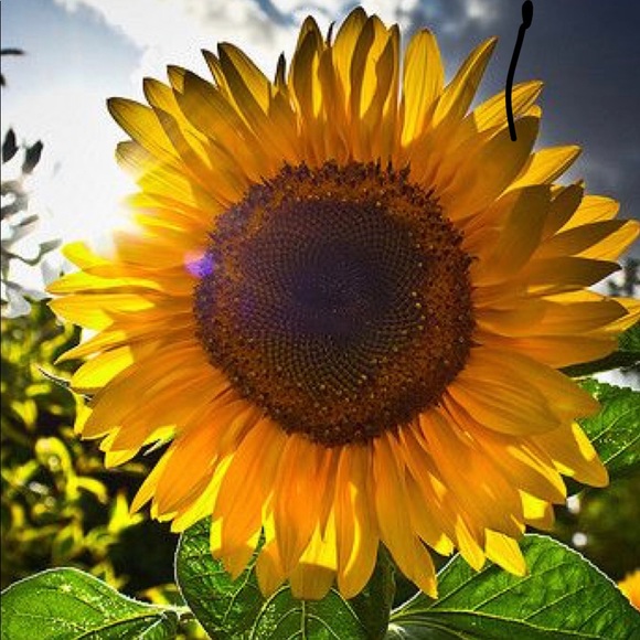 Meet your Posher, Lorie - Picture 2 of 2